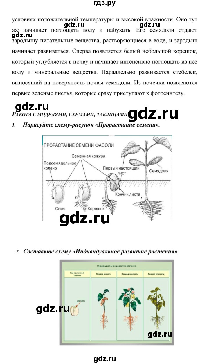 ГДЗ по биологии 6 класс Сивоглазов   страница - 96, Решебник