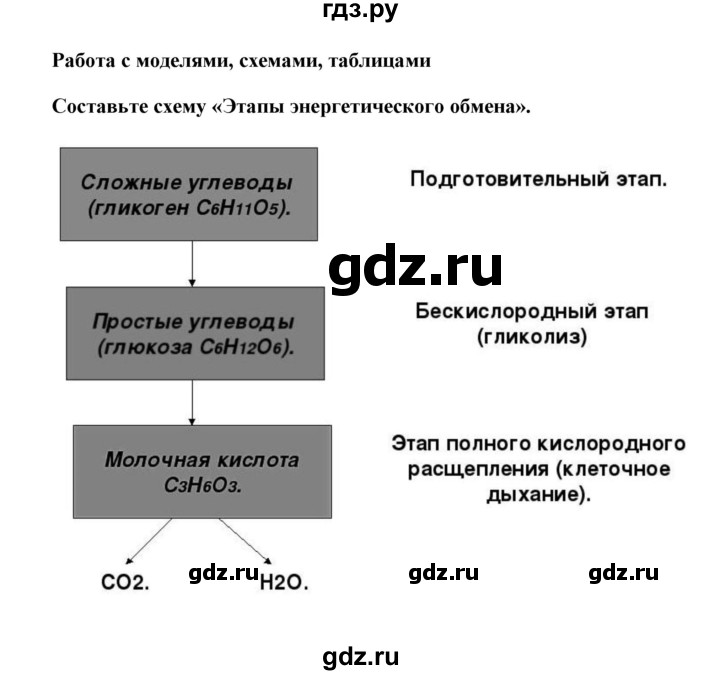ГДЗ по биологии 9 класс Сивоглазов   параграф 14 / работа с моделями, схемами, таблицами - 1, Решебник