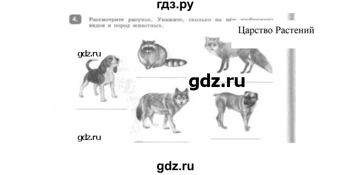 ГДЗ по биологии 5 класс Сивоглазов рабочая тетрадь  страница - 10, Решебник