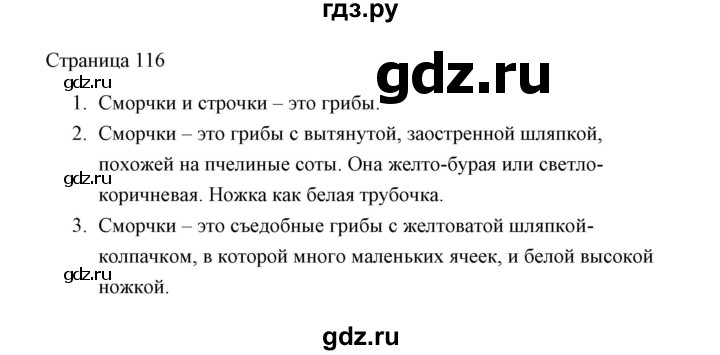 Страница 116. Стр 115-116 русский язык страницы. Стр 115-116 русский язык страницы 6 класс. Русский 6 класс страница 115-116. Гдз по русскому языку 6 класс страница 114-115 упражнения 207.