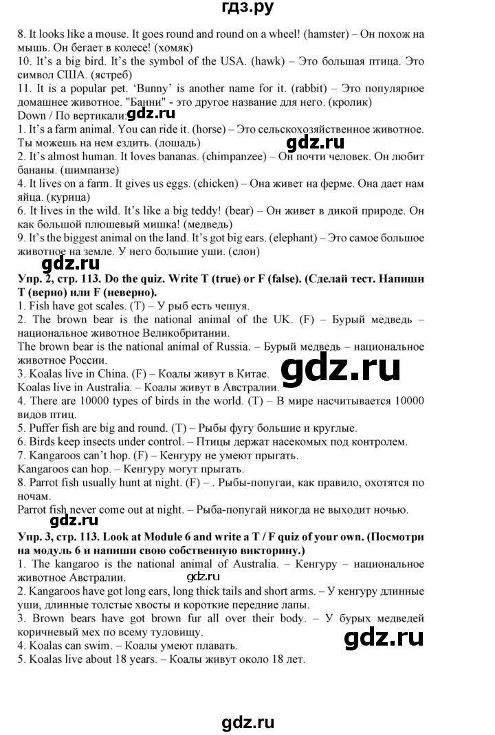 ГДЗ по английскому языку 5 класс Маневич Options  страница - 113, Решебник к учебнику 2019