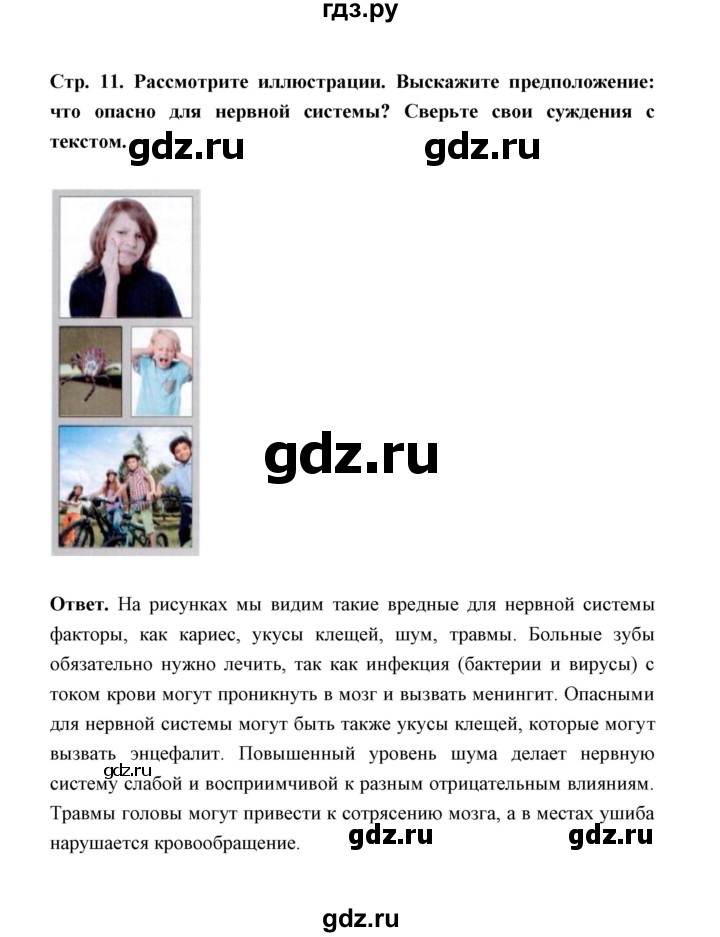 ГДЗ по обж 5‐6 класс  Виноградова   страница - 11, Решебник №1