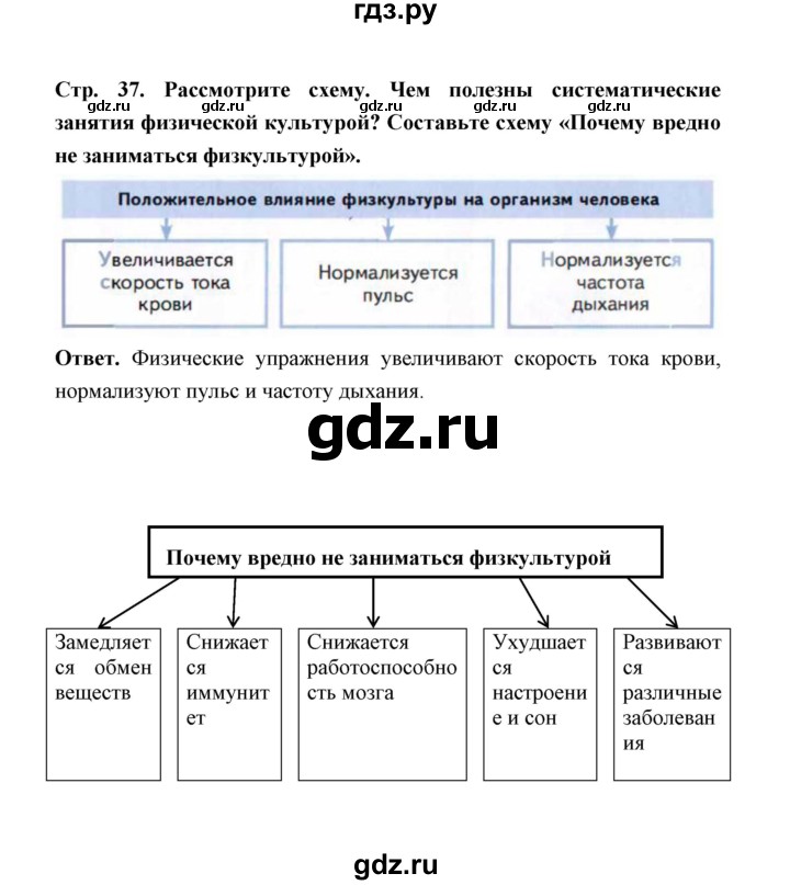ГДЗ по обж 5‐6 класс  Виноградова   страница - 37, Решебник №1