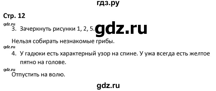 ГДЗ по окружающему миру 3 класс Соколова рабочая тетрадь  тетрадь №2. страница - 12, Решебник