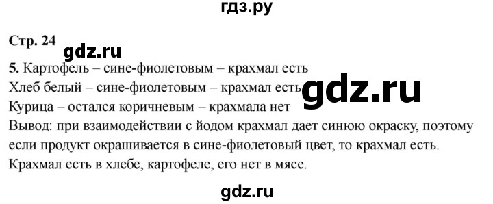 ГДЗ по окружающему миру 3 класс Соколова рабочая тетрадь (Плешаков)  тетрадь №1. страница - 24, Решебник 2024