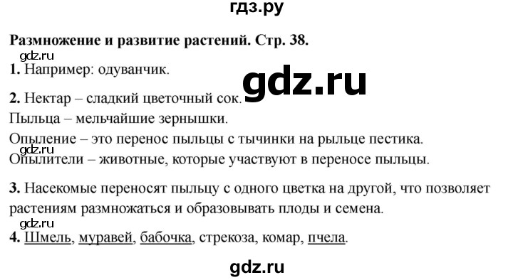 ГДЗ по окружающему миру 3 класс Соколова рабочая тетрадь (Плешаков)  тетрадь №1. страница - 38, Решебник 2024