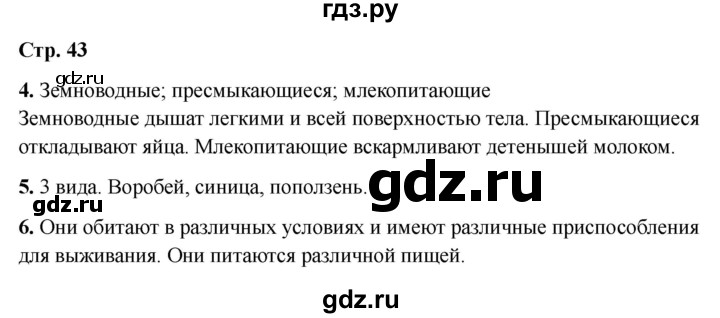 ГДЗ по окружающему миру 3 класс Соколова рабочая тетрадь (Плешаков)  тетрадь №1. страница - 43, Решебник 2024