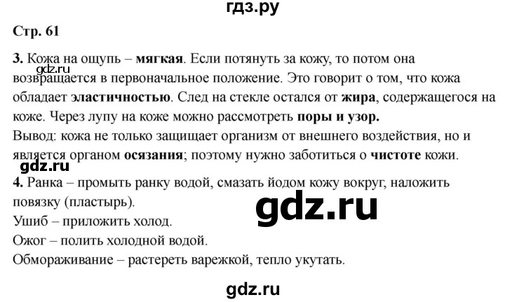 ГДЗ по окружающему миру 3 класс Соколова рабочая тетрадь (Плешаков)  тетрадь №1. страница - 61, Решебник 2024