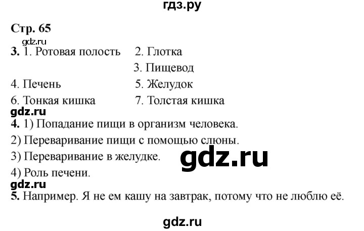 ГДЗ по окружающему миру 3 класс Соколова рабочая тетрадь (Плешаков)  тетрадь №1. страница - 65, Решебник 2024