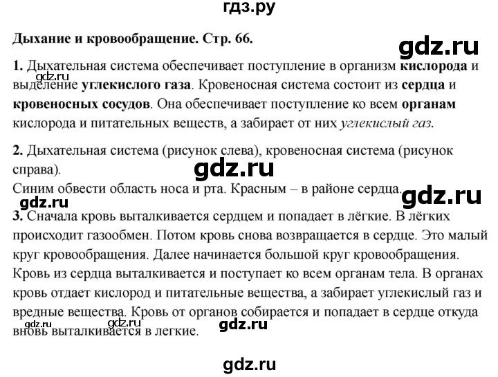 ГДЗ по окружающему миру 3 класс Соколова рабочая тетрадь (Плешаков)  тетрадь №1. страница - 66, Решебник 2024