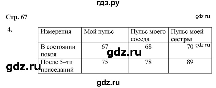 ГДЗ по окружающему миру 3 класс Соколова рабочая тетрадь (Плешаков)  тетрадь №1. страница - 67, Решебник 2024