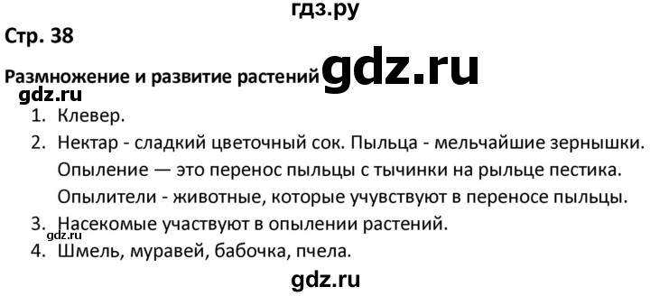 ГДЗ по окружающему миру 3 класс Соколова рабочая тетрадь (Плешаков)  тетрадь №1. страница - 38, Решебник 2020