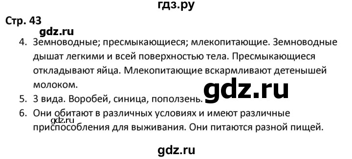 ГДЗ по окружающему миру 3 класс Соколова рабочая тетрадь (Плешаков)  тетрадь №1. страница - 43, Решебник 2020