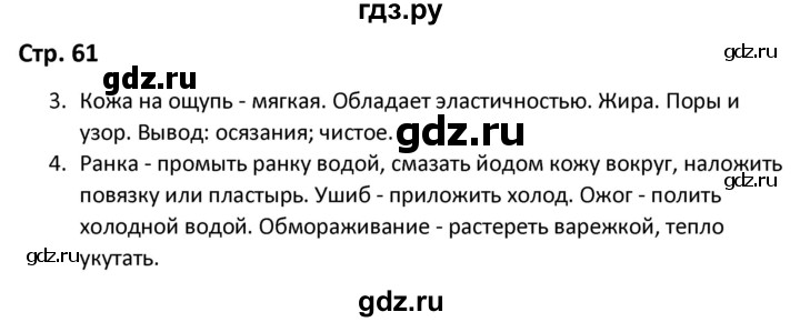 ГДЗ по окружающему миру 3 класс Соколова рабочая тетрадь (Плешаков)  тетрадь №1. страница - 61, Решебник 2020