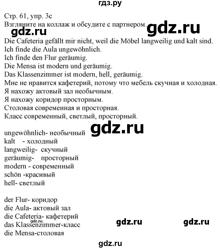 ГДЗ по немецкому языку 8 класс Радченко Wunderkinder Plus Базовый и углубленный уровень страница - 61, Решебник к учебнику Wunderkinder Plus