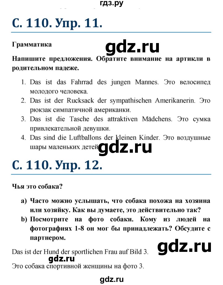 ГДЗ по немецкому языку 8 класс Радченко Wunderkinder Plus Базовый и углубленный уровень страница - 110, Решебник к учебнику Wunderkinder