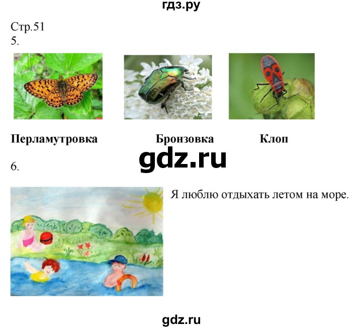 ГДЗ по окружающему миру 2 класс Соколова рабочая тетрадь  часть 2. страница - 51, Решебник 2020