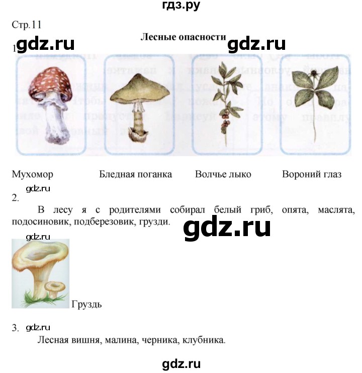 ГДЗ по окружающему миру 2 класс Соколова рабочая тетрадь (Плешаков)  часть 2. страница - 11, Решебник 2024