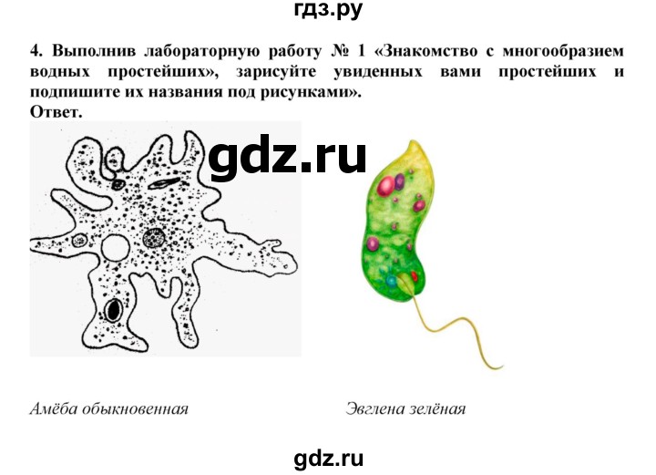 ГДЗ по биологии 7 класс  Латюшин рабочая тетрадь Животные  параграф 3,4 (упражнение) - 4, Решебник