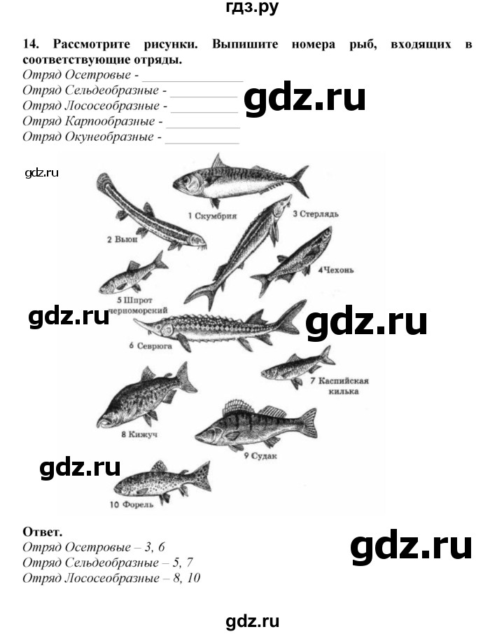 ГДЗ по биологии 7 класс  Латюшин рабочая тетрадь  параграф 23 (упражнение) - 14, Решебник