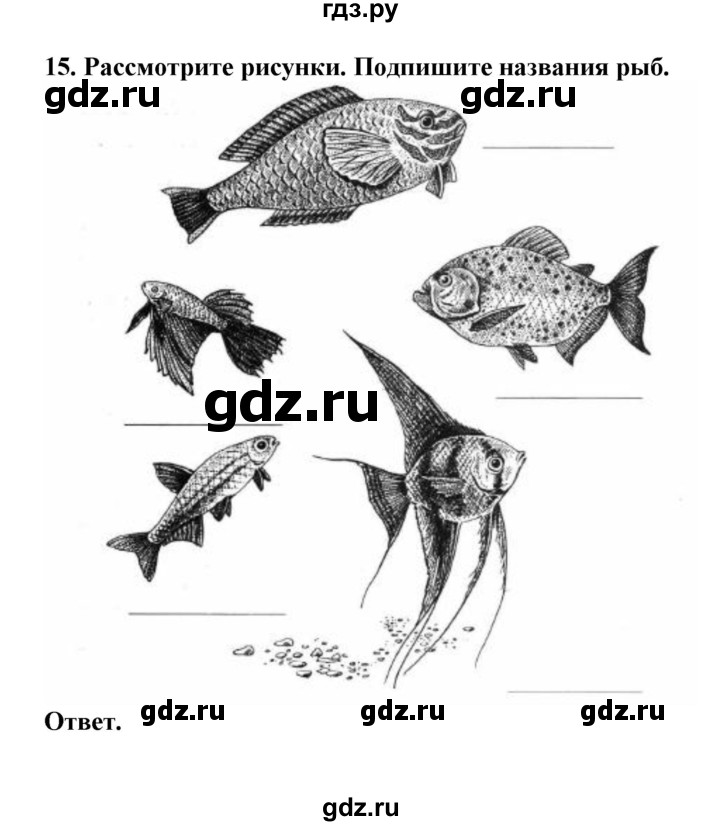 ГДЗ по биологии 7 класс  Латюшин рабочая тетрадь Животные  параграф 23 (упражнение) - 15, Решебник