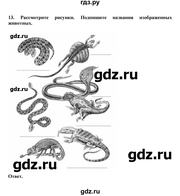 ГДЗ по биологии 7 класс  Латюшин рабочая тетрадь  параграф 25 (упражнение) - 13, Решебник