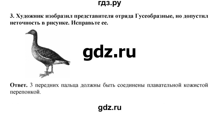 ГДЗ по биологии 7 класс  Латюшин рабочая тетрадь  параграф 27-30 (тема) / гусеобразные (упражнение) - 3, Решебник