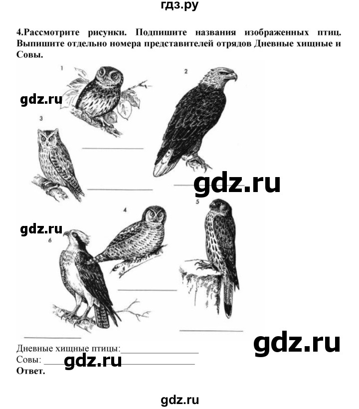 ГДЗ по биологии 7 класс  Латюшин рабочая тетрадь Животные  параграф 27-30 (тема) / совы (упражнение) - 4, Решебник