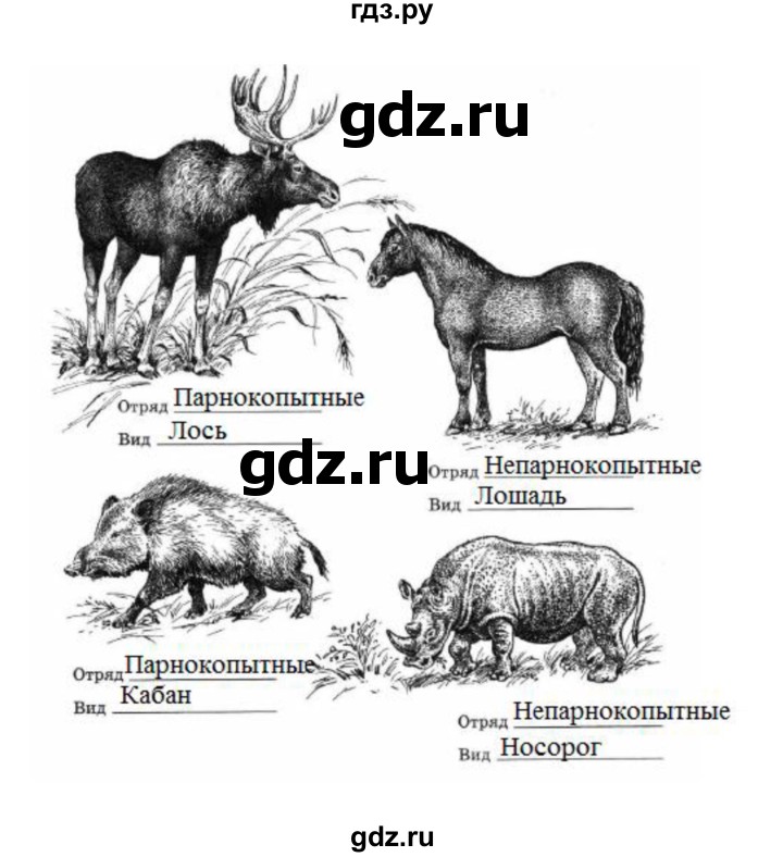 ГДЗ по биологии 7 класс  Латюшин рабочая тетрадь  параграф 31-35 (тема) / непарнокопытные (упражнение) - 5, Решебник