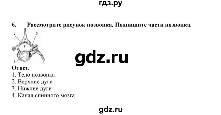 ГДЗ по биологии 7 класс  Латюшин рабочая тетрадь  параграф 37 (упражнение) - 6, Решебник