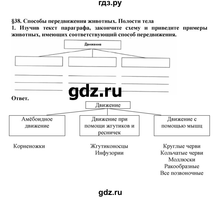 ГДЗ по биологии 7 класс  Латюшин рабочая тетрадь Животные  параграф 38 (упражнение) - 1, Решебник