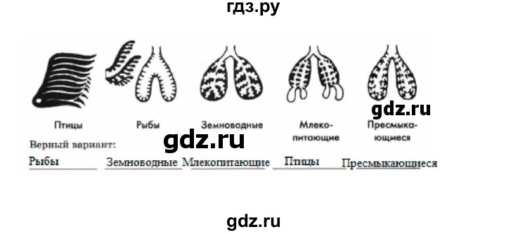 ГДЗ по биологии 7 класс  Латюшин рабочая тетрадь  параграф 39 (упражнение) - 10, Решебник