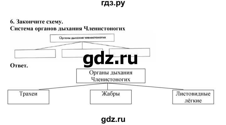 ГДЗ по биологии 7 класс  Латюшин рабочая тетрадь  параграф 39 (упражнение) - 6, Решебник