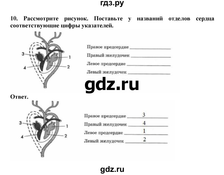 ГДЗ по биологии 7 класс  Латюшин рабочая тетрадь Животные  параграф 41 (упражнение) - 10, Решебник