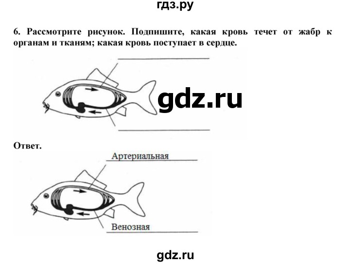 ГДЗ по биологии 7 класс  Латюшин рабочая тетрадь  параграф 41 (упражнение) - 6, Решебник