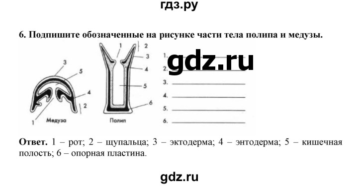 ГДЗ по биологии 7 класс  Латюшин рабочая тетрадь Животные  параграф 6 (упражнение) - 6, Решебник