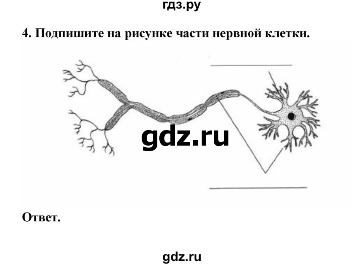 ГДЗ по биологии 7 класс  Латюшин рабочая тетрадь Животные  параграф 43 (упражнение) - 4, Решебник