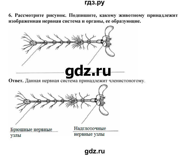 ГДЗ по биологии 7 класс  Латюшин рабочая тетрадь Животные  параграф 43 (упражнение) - 6, Решебник