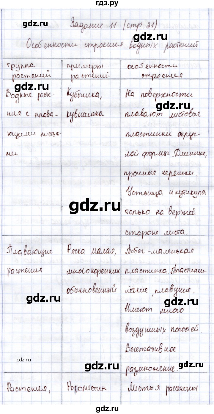 ГДЗ по экологии 6 класс Горская рабочая тетрадь  страница - 21, Решебник