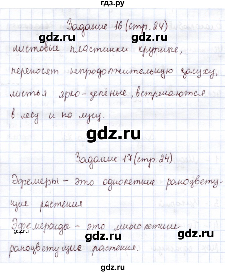 ГДЗ по экологии 6 класс Горская рабочая тетрадь  страница - 24, Решебник