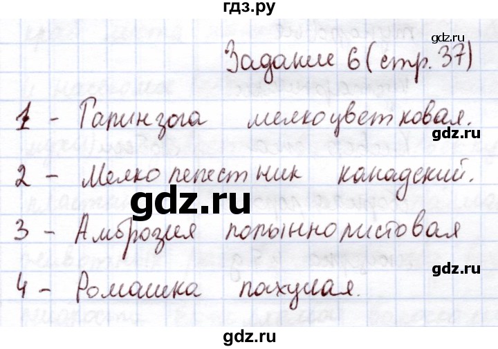 ГДЗ по экологии 6 класс Горская рабочая тетрадь  страница - 37, Решебник