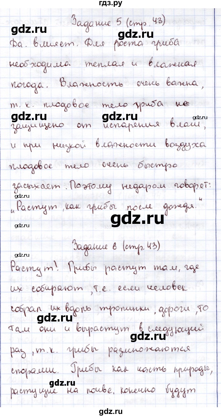 ГДЗ по экологии 6 класс Горская рабочая тетрадь  страница - 43, Решебник