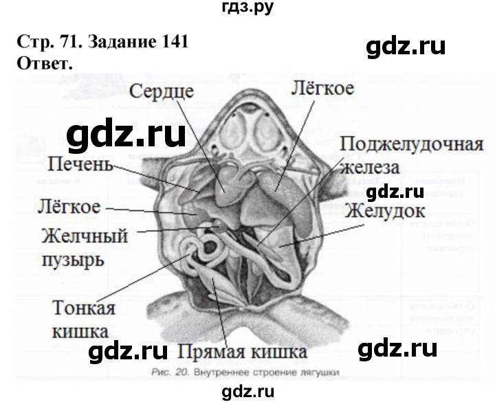 ГДЗ по биологии 7 класс Суматохин рабочая тетрадь  задание - 141, Решебник