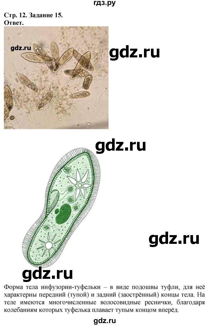 ГДЗ по биологии 7 класс Суматохин рабочая тетрадь  задание - 15, Решебник