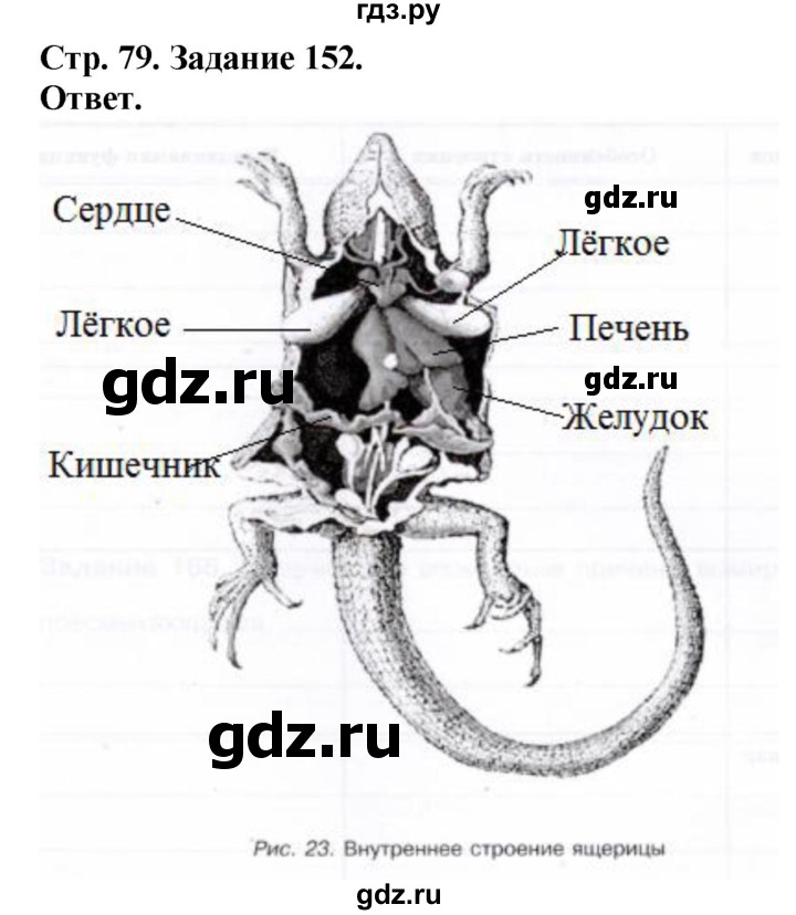 ГДЗ по биологии 7 класс Суматохин рабочая тетрадь  задание - 152, Решебник