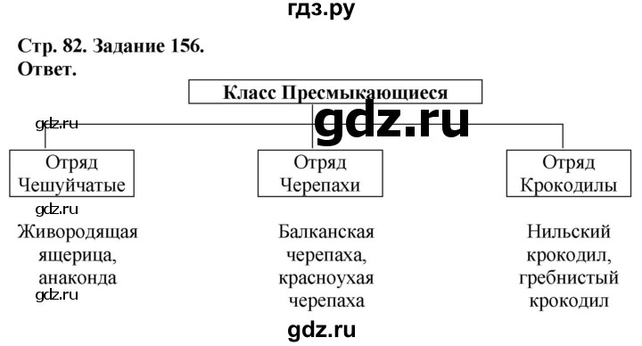 ГДЗ по биологии 7 класс Суматохин рабочая тетрадь Животные  задание - 156, Решебник