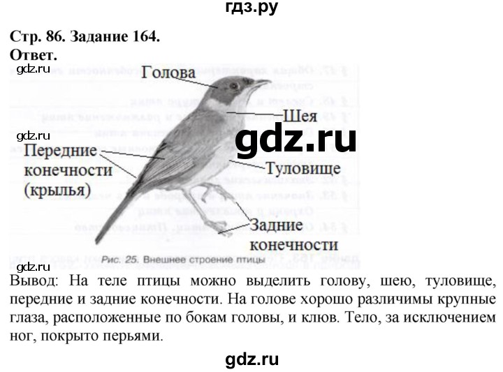 ГДЗ по биологии 7 класс Суматохин рабочая тетрадь Животные  задание - 164, Решебник