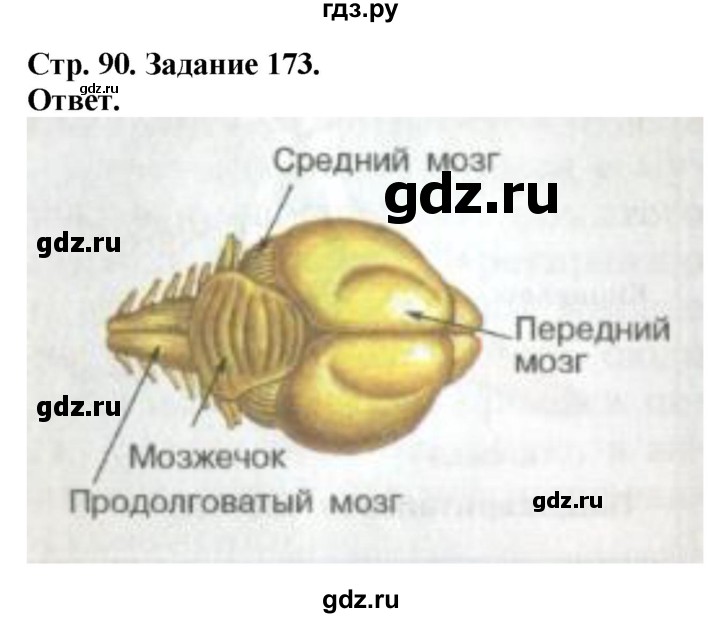 ГДЗ по биологии 7 класс Суматохин рабочая тетрадь Животные  задание - 173, Решебник