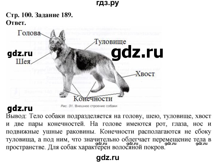 ГДЗ по биологии 7 класс Суматохин рабочая тетрадь Животные  задание - 189, Решебник