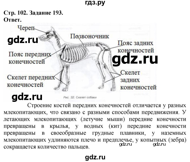 ГДЗ по биологии 7 класс Суматохин рабочая тетрадь Животные  задание - 193, Решебник